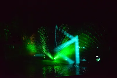 DSC_7041 (Large).JPG